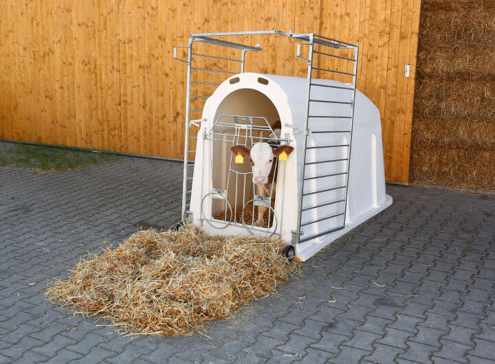 KERBL CalfHouse PE UV+ mit leichter Umzäunung